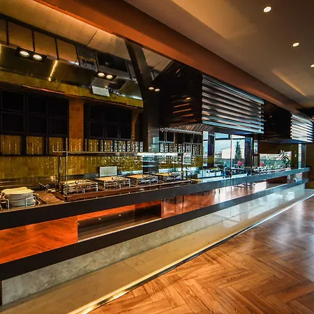 Almira Thermal & Convention Center 호텔 부루사